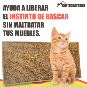 Rascadero para Gato con CatNip ZIZOO